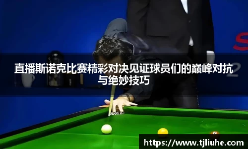 直播斯诺克比赛精彩对决见证球员们的巅峰对抗与绝妙技巧