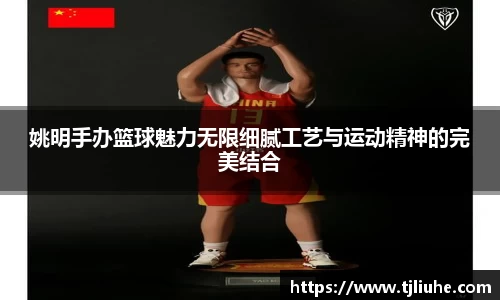 完美体育