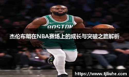 完美体育