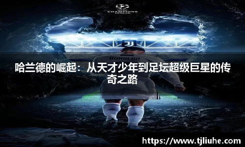 完美体育