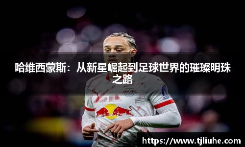 完美体育在线入口官网