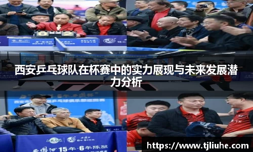 完美体育